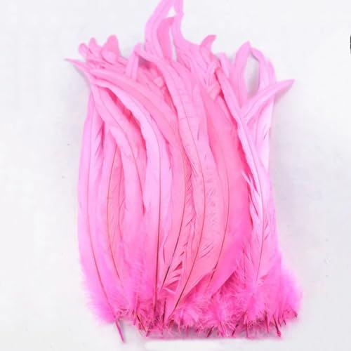 50 Stück lila Hahnschwanzfedern, 25–30 cm, 100 % Fasanenfedern, Synthese für Kostüm, DIY, Basteln, Zuhause, Hochzeitsdekoration, 25–30 cm, Pnnrk 50 Stück lila Hahnschwanzfedern, 25–30 cm, 100 % Fasanenfedern, Synthese für Kostüm, DIY, Basteln, Zuhause, Hochzeitsdekoration, 25–30 cm, Pnnrk von Generisch