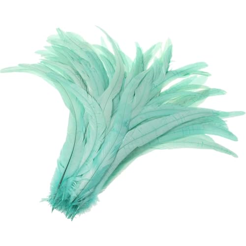 500 Stück/Los, 100 % Fasanenfeder-Synthese, 35,6–40,6 cm, für Kostüme, Heimwerken, Basteln, Zuhause, Hochzeitsdekoration, Minze, EN8 500 Stück/Los, 100 % Fasanenfeder-Synthese, 35,6–40,6 cm, für Kostüme, Heimwerken, Basteln, Zuhause, Hochzeitsdekoration, Minze, EN8 von Generisch