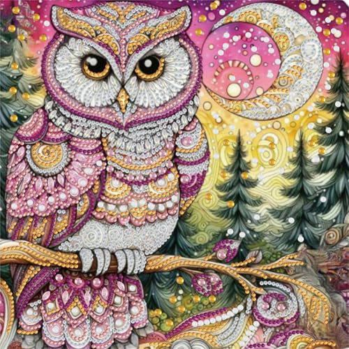 5D DIY Eule spezielle geformte Diamantkunst, Diamantmalerei-Set für Erwachsene, Stickbilder, Kunsthandwerk für Anfänger, Heimdekoration, Geschenk, 30 x 30 cm, Eule 5D DIY Eule spezielle geformte Diamantkunst, Diamantmalerei-Set für Erwachsene, Stickbilder, Kunsthandwerk für Anfänger, Heimdekoration, Geschenk, 30 x 30 cm, Eule von Generisch