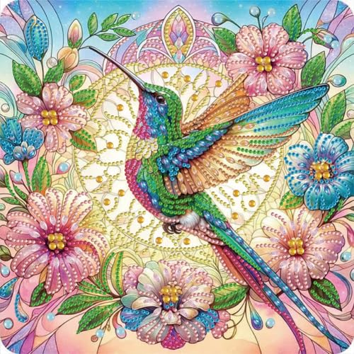 5D-Diamant-Malerei-Set zum Selbermachen, Kolibri, spezielle Form, Diamant-Malerei-Set für Erwachsene, Stickbilder, Kunsthandwerk für Anfänger, Heimdekoration, Geschenk, 30 x 30 cm, Kolibri 5D-Diamant-Malerei-Set zum Selbermachen, Kolibri, spezielle Form, Diamant-Malerei-Set für Erwachsene, Stickbilder, Kunsthandwerk für Anfänger, Heimdekoration, Geschenk, 30 x 30 cm, Kolibri von Generisch