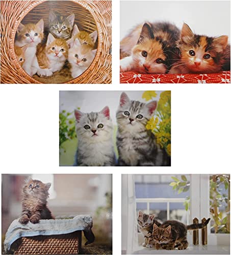 5er Set Klappkarten Katze mit Umschlag 16 x 12 cm Doppelkarte Postkarte GPK 1000 5er Set Klappkarten Katze mit Umschlag 16 x 12 cm Doppelkarte Postkarte GPK 1000 von Generisch