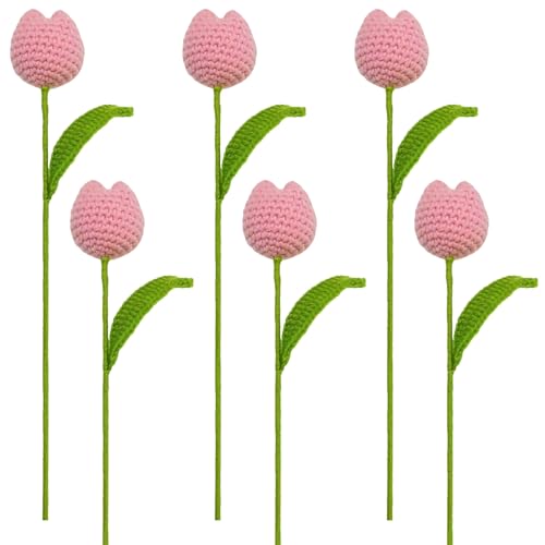 6 Häkelblumen, handgefertigte Garnsträuße für Zuhause oder Büro, für Muttertag und Lehrertag 6 Häkelblumen, handgefertigte Garnsträuße für Zuhause oder Büro, für Muttertag und Lehrertag von Generisch