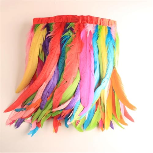 9,1 m/Lot Hahnschwanz-Federborte für Handarbeit, DIY, Handwerk, 25–30 cm, Fransen für Kleidung, Accessoires, Farbmischung, 6 m von Generisch