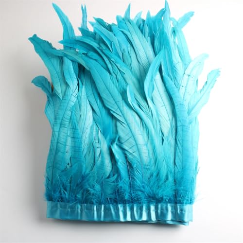 9,1 m Federbordüre, 25,4 - 30,5 cm, Coque-Federbesatz für Handwerk, Kleid, Rock, Kostüme, Hellblau, 9,1 m 9,1 m Federbordüre, 25,4 - 30,5 cm, Coque-Federbesatz für Handwerk, Kleid, Rock, Kostüme, Hellblau, 9,1 m von Generisch