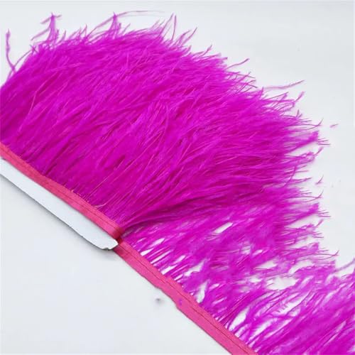 9,1 m Straußenfeder-Band, Besatz, Fransen, Kleidung, Dekoration, DIY, Nähen, Basteln, Kostüme, Dekoration, Rose, 9,1 m 9,1 m Straußenfeder-Band, Besatz, Fransen, Kleidung, Dekoration, DIY, Nähen, Basteln, Kostüme, Dekoration, Rose, 9,1 m von Generisch