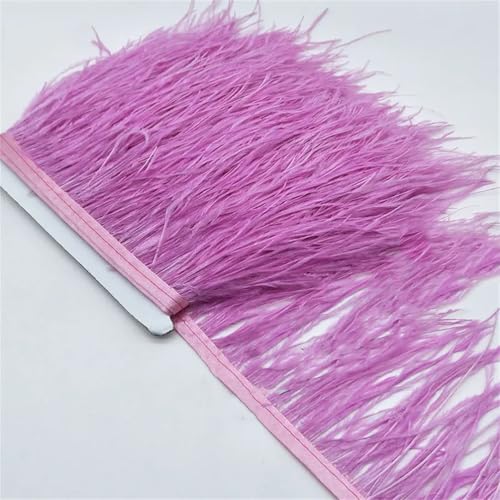 9,1 m Straußenfeder-Band, Fransenband, Kleidung, Dekoration, Fransenborten für Kleid, Nähen, Handwerk, Hellviolett, 4,5 m 9,1 m Straußenfeder-Band, Fransenband, Kleidung, Dekoration, Fransenborten für Kleid, Nähen, Handwerk, Hellviolett, 4,5 m von Generisch