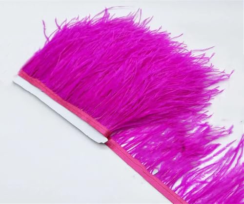 9,1 m Straußenfeder-Band, Straußenfeder-Bordüre, Fransen, Kleidung, Dekoration, Besatz für DIY, Nähen, Rose, 2 Meter 9,1 m Straußenfeder-Band, Straußenfeder-Bordüre, Fransen, Kleidung, Dekoration, Besatz für DIY, Nähen, Rose, 2 Meter von Generisch