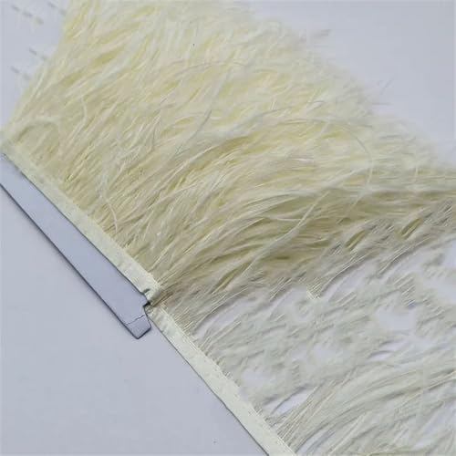 9,1 m Straußenfeder-Band, Straußenfeder-Bordüre, Fransendekoration, Fransenborte, für Kleid, Beige, 9,1 m 9,1 m Straußenfeder-Band, Straußenfeder-Bordüre, Fransendekoration, Fransenborte, für Kleid, Beige, 9,1 m von Generisch