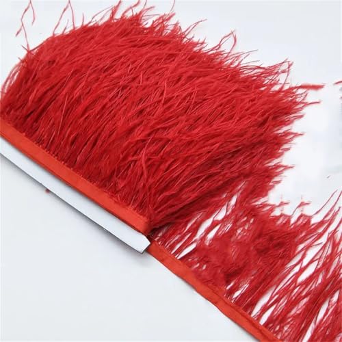 9,1 m Straußenfeder-Band, Straußenfeder-Bordüre, Fransendekoration, Fransenborte, für Kleid, Rot, 9,1 m 9,1 m Straußenfeder-Band, Straußenfeder-Bordüre, Fransendekoration, Fransenborte, für Kleid, Rot, 9,1 m von Generisch