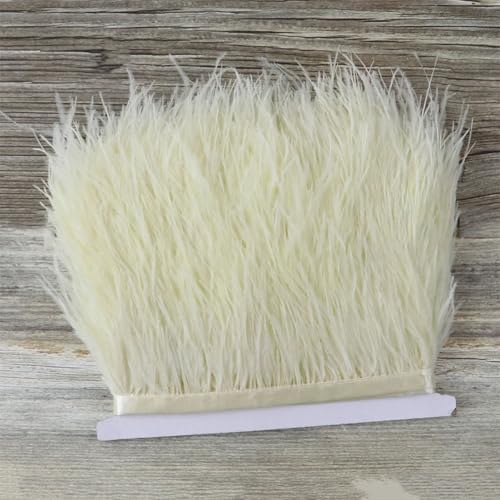 9,1 m Straußenfeder-Bordüre, 6-15 cm, Bastelzubehör, Straußenfeder-Besatz, Fransen-Besatz, Beige, 10-15 cm, 9,1 m 9,1 m Straußenfeder-Bordüre, 6-15 cm, Bastelzubehör, Straußenfeder-Besatz, Fransen-Besatz, Beige, 10-15 cm, 9,1 m von Generisch