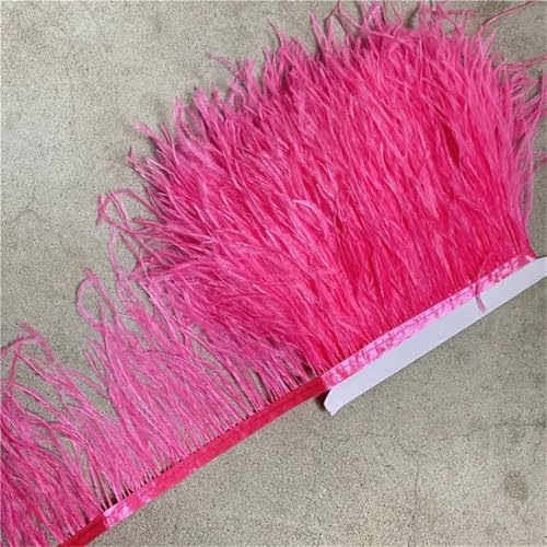 9,1 m Straußenfeder-Bordüre, Fransenfeder-Band, 10-15 cm breit, Nähen, Basteln, Kostüme, Dekoration, Rosenrot, 2 Meter 9,1 m Straußenfeder-Bordüre, Fransenfeder-Band, 10-15 cm breit, Nähen, Basteln, Kostüme, Dekoration, Rosenrot, 2 Meter von Generisch