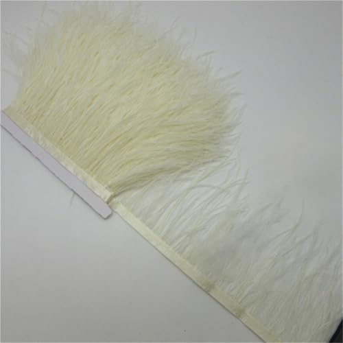 9,1 m langes Band mit natürlichen Straußenfedern, 10–15 cm, Federbesatz, Fransen, DIY, Nähen, Kleidung, Zubehör, Beige, 4,5 m 9,1 m langes Band mit natürlichen Straußenfedern, 10–15 cm, Federbesatz, Fransen, DIY, Nähen, Kleidung, Zubehör, Beige, 4,5 m von Generisch