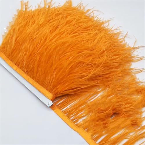 9,1 m langes Straußenfederband, Fransenband, Kleidung, Dekoration, Fransenborten für Kleid, Nähen, Handwerk, Orange, 2 Meter 9,1 m langes Straußenfederband, Fransenband, Kleidung, Dekoration, Fransenborten für Kleid, Nähen, Handwerk, Orange, 2 Meter von Generisch