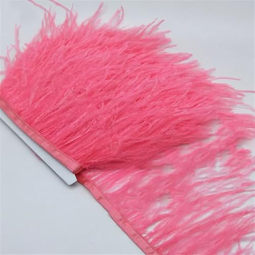 9,1 m natürliche Straußenfeder-Bordüre, Fransen-Bordüre, für Kleidung, Dekoration, Fransenborten für Kleid, Nähen, Handwerk, Blut, 4,5 m 9,1 m natürliche Straußenfeder-Bordüre, Fransen-Bordüre, für Kleidung, Dekoration, Fransenborten für Kleid, Nähen, Handwerk, Blut, 4,5 m von Generisch