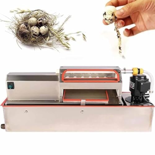 Automatischer Wachteleierschäler, 25 W Edelstahl, kommerzielle Schale für gekochte Eier, hohe Effizienz 70 kg/h mit niedriger Bruchrate von Generisch