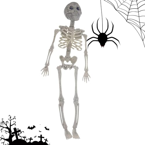 Bewegliche Skelettfigur, Indoor bewegliches Skelett Ganzkörper mit beweglichem Gelenk, Realistisches Skelettfigurenspielzeug für Zuhause, Büro, Partybevorzugung, Garten Bewegliche Skelettfigur, Indoor bewegliches Skelett Ganzkörper mit beweglichem Gelenk, Realistisches Skelettfigurenspielzeug für Zuhause, Büro, Partybevorzugung, Garten von Generisch