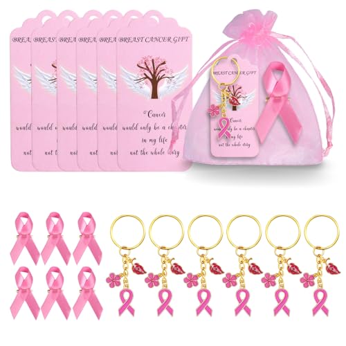 Brustkrebs Bewusstsein Zubehör Brustkrebs Bewusstsein Schlüssel bund Rosa Band Broschen mit rosa Organza Taschen Brustkrebs Bewusstsein Zubehör Brustkrebs Bewusstsein Schlüssel bund Rosa Band Broschen mit rosa Organza Taschen von Generisch