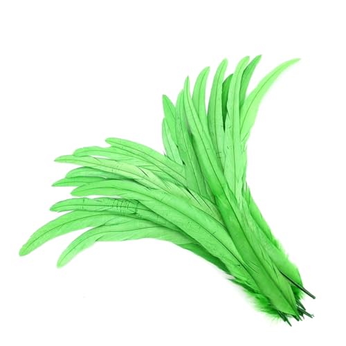 Bunte Hahnschwanzfedern, Bastelzubehör, Hochzeit, Party, Karneval, Heimdekoration, Obst, EN8, 30–35 cm, 50 Stück Bunte Hahnschwanzfedern, Bastelzubehör, Hochzeit, Party, Karneval, Heimdekoration, Obst, EN8, 30–35 cm, 50 Stück von Generisch