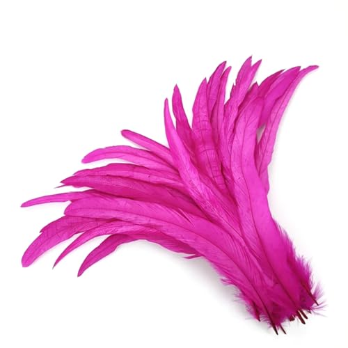 Bunte Hahnschwanzfedern, Bastelzubehör, Hochzeit, Party, Karneval, Heimdekoration, Rosenrot, 25–30 cm, 50 Stück Bunte Hahnschwanzfedern, Bastelzubehör, Hochzeit, Party, Karneval, Heimdekoration, Rosenrot, 25–30 cm, 50 Stück von Generisch