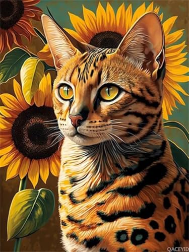 DIY Diamant Art Painting Set, Katze Square Drill Diamond Painting Set für Erwachsene und Anfänger, Vollbohrer Diamanten Malerei Stickerei, Mosaikherstellung Bilder für Haus Wanddeko 50x70cm Dn9914 von Generisch