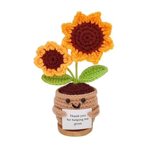 Danke Geschenk Gestrickte Blumen Für Frauen Männer, Motivationspuppen Kleines Dankeschön Geschenk Für Freunde Kollegen Und Famili Häkelfigur - Denken Häkelblume Im von Generisch