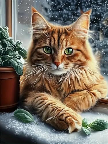 Diamond Painting Erwachsene, DIY 5D Gelbe Katze Diamant Painting Bilder für Kinder Anfänger, Diamant Malerei Set Runde Steine Voll Cross Stickerei Kunst Kits Basteln für Wand Dekor 50x70cm H1193 Diamond Painting Erwachsene, DIY 5D Gelbe Katze Diamant Painting Bilder für Kinder Anfänger, Diamant Malerei Set Runde Steine Voll Cross Stickerei Kunst Kits Basteln für Wand Dekor 50x70cm H1193 von Generisch