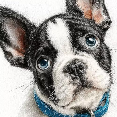 Diamond Painting Erwachsene Hund Diamond Painting Kinder Tier, DIY 5D Bastelset Erwachsene Full Drill Eckige Stickerei Anfänger Stickerei Kreuzstich Malerei für Wall Decor, Geschenk 100x100cm 3-Q888 Diamond Painting Erwachsene Hund Diamond Painting Kinder Tier, DIY 5D Bastelset Erwachsene Full Drill Eckige Stickerei Anfänger Stickerei Kreuzstich Malerei für Wall Decor, Geschenk 100x100cm 3-Q888 von Generisch
