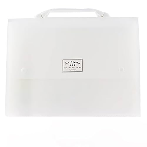 Dokumentenmappe Mit 13-FäChige,Professionelle Organisation,Transparentes Matt-Design, Knopfverschluss,Erweiterbarer Akkordion-Ordner,FüR BüRo Hause Schule Dokumente von Generisch