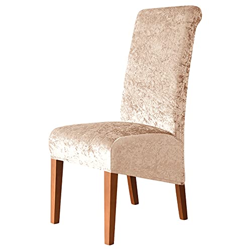 Esszimmerstuhlhussen aus Pannesamt, dehnbar, waschbar, mit elastischem Rand, für Hochzeit und Heimdekoration, 6 Stück, champagnerfarben Esszimmerstuhlhussen aus Pannesamt, dehnbar, waschbar, mit elastischem Rand, für Hochzeit und Heimdekoration, 6 Stück, champagnerfarben von Generisch