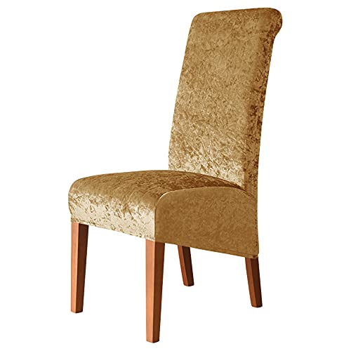 Esszimmerstuhlhussen aus Pannesamt, waschbar, dehnbar, mit elastischem Rand, für Hochzeit & dekorative Sitzschoner für Zuhause und Veranstaltungen, goldfarben, 6 Stück Esszimmerstuhlhussen aus Pannesamt, waschbar, dehnbar, mit elastischem Rand, für Hochzeit & dekorative Sitzschoner für Zuhause und Veranstaltungen, goldfarben, 6 Stück von Generisch