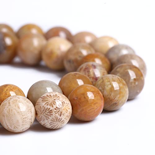 Eu9-k10352 Chrysanthemen-Perlen aus Naturstein, Koralle, Jade, Chrysanthemen, für Schmuckherstellung, DIY-Armband, 6 mm, 57 Stück von Generisch