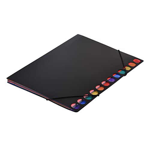 Fächermappe, A4, Ordner, Organizer mit elastischer Schnur, 24 Taschen, Briefgröße für Papier, Dokumente, Zertifikate, Zuhause, Büro, Schule, Schreibwaren von Generisch