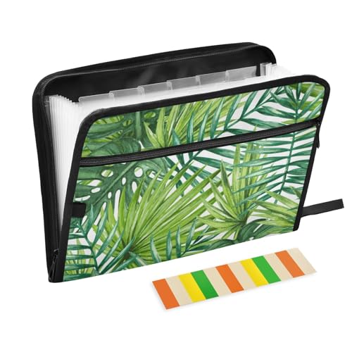 Fächermappe, tropisches grünes Palmenblatt, 13 Taschen, Akkordeon-Aktenordner mit Klebeetiketten, Reißverschluss, tragbarer A4-Dokumenten-Organizer für Zuhause, Büro, Schulbedarf Fächermappe, tropisches grünes Palmenblatt, 13 Taschen, Akkordeon-Aktenordner mit Klebeetiketten, Reißverschluss, tragbarer A4-Dokumenten-Organizer für Zuhause, Büro, Schulbedarf von Generisch