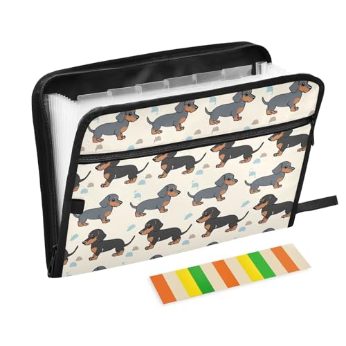 Fächermappe mit niedlichem Dackel-Motiv, mit Klebeetiketten, 13 Taschen, Akkordeon-Aktenordner, Dokumenten-Organizer mit Reißverschluss Fächermappe mit niedlichem Dackel-Motiv, mit Klebeetiketten, 13 Taschen, Akkordeon-Aktenordner, Dokumenten-Organizer mit Reißverschluss von Generisch