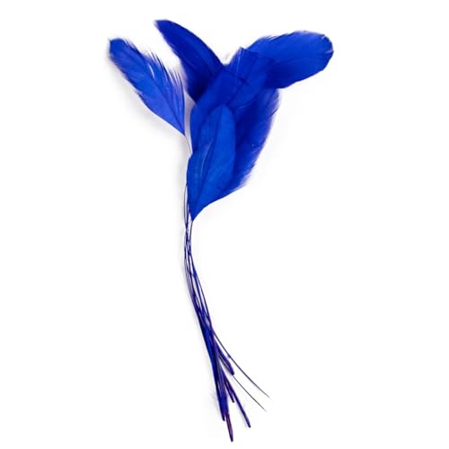 Farbige Federbordüre für Bastelarbeiten, Schmuck, Dekoration, Hochzeit, Zuhause, Party, Königsblau, 100 Stück von Generisch