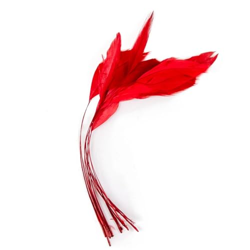 Farbige Federbordüre für Bastelarbeiten, Schmuck, Dekoration, Hochzeit, Zuhause, Party, Rot, 100 Stück Farbige Federbordüre für Bastelarbeiten, Schmuck, Dekoration, Hochzeit, Zuhause, Party, Rot, 100 Stück von Generisch