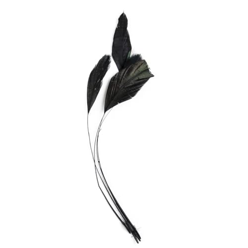 Farbige Federbordüre für Bastelarbeiten, Schmuck, Dekoration, Hochzeit, Zuhause, Party, Schwarz, 100 Stück Farbige Federbordüre für Bastelarbeiten, Schmuck, Dekoration, Hochzeit, Zuhause, Party, Schwarz, 100 Stück von Generisch