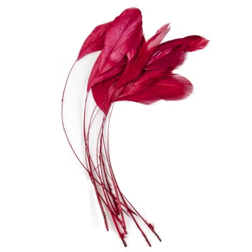 Farbige Federbordüre für Bastelarbeiten, Schmuck, Dekoration, Hochzeit, Zuhause, Party, Wein, 100 Stück von Generisch