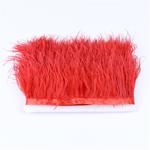 Farbige Straußenfeder-Bordüre, Fransen, 6–8 cm, Dekoration für Kleid, Kleidung, Nähzubehör, Basteln, 1 m, Rot Farbige Straußenfeder-Bordüre, Fransen, 6–8 cm, Dekoration für Kleid, Kleidung, Nähzubehör, Basteln, 1 m, Rot von Generisch