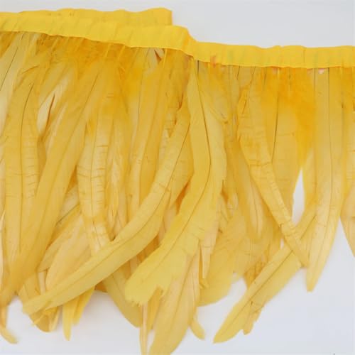 Farbiges Band mit Hahnfedern, Quastenborte, 25–30 cm, gefärbtes Band für Hochzeit, Party, Kleid, Rock, Bastelzubehör, goldfarben, 10 m von Generisch