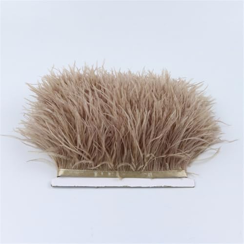 Farbiges Straußenfeder-Band, 8–10 cm, Dekoration für Hochzeit, Party, Kleid, Nähen, Basteln, 2/5/10 m, Kaffeebraun, 5 m Farbiges Straußenfeder-Band, 8–10 cm, Dekoration für Hochzeit, Party, Kleid, Nähen, Basteln, 2/5/10 m, Kaffeebraun, 5 m von Generisch