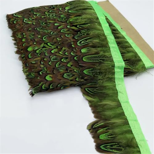 Fasan-Federgürtel, Federbesatz, Fransen-Federbesatz für Kleid/Weihnachtslicht, 4–8 cm, EN8, 9,1 m Fasan-Federgürtel, Federbesatz, Fransen-Federbesatz für Kleid/Weihnachtslicht, 4–8 cm, EN8, 9,1 m von Generisch