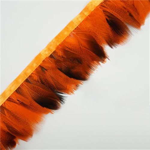 Fasanenfeder-Bordüre, natürliche Entenfedern, Fransenband für Handwerk, DIY, Kleid, Zubehör, Orange, 10 m Fasanenfeder-Bordüre, natürliche Entenfedern, Fransenband für Handwerk, DIY, Kleid, Zubehör, Orange, 10 m von Generisch