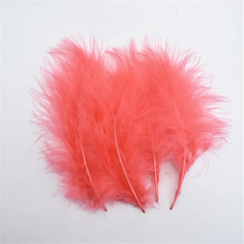 Fasanenfedern, Weiß, zum Basteln, Federn für Kleidung, Karneval, Assesoires, Wassermelonenrot, 100 Stück Fasanenfedern, Weiß, zum Basteln, Federn für Kleidung, Karneval, Assesoires, Wassermelonenrot, 100 Stück von Generisch