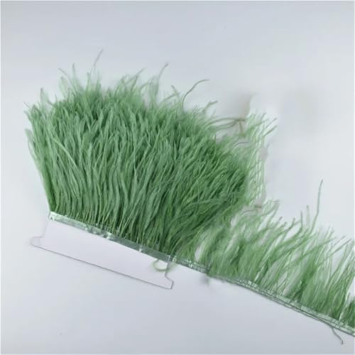 Federband, Fransenbordüre, Nähen, Federborte, Hochzeitszubehör, Dekoration, 10 m - 15 cm, Olivgrün, EN8, 10 m Federband, Fransenbordüre, Nähen, Federborte, Hochzeitszubehör, Dekoration, 10 m - 15 cm, Olivgrün, EN8, 10 m von Generisch