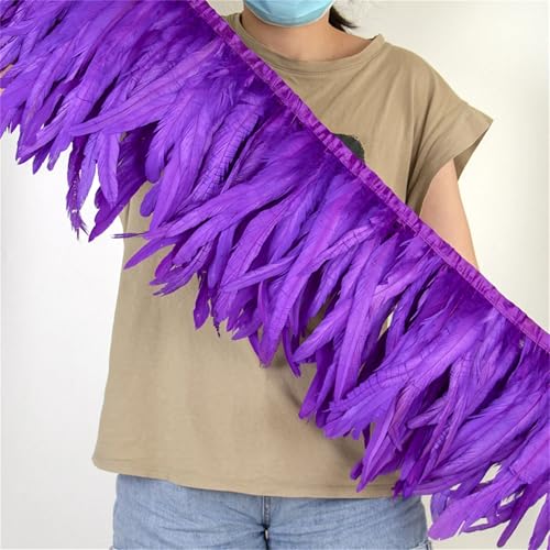 Federbordüre mit langem Schwanz, 25–30 cm, zum Nähen, für modische Bekleidung und Bastelarbeiten, Dekoration von Generisch