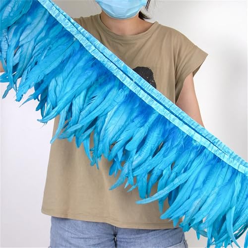Federbordüre mit langem Schwanz, 25–30 cm, zum Nähen, für modische Bekleidung und Bastelarbeiten, Dekoration Federbordüre mit langem Schwanz, 25–30 cm, zum Nähen, für modische Bekleidung und Bastelarbeiten, Dekoration von Generisch