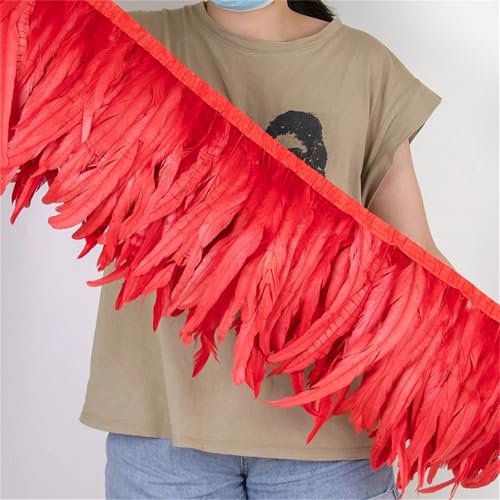 Federbordüre mit langem Schwanz, 25–30 cm, zum Nähen, für modische Bekleidung und Bastelarbeiten, Dekoration Federbordüre mit langem Schwanz, 25–30 cm, zum Nähen, für modische Bekleidung und Bastelarbeiten, Dekoration von Generisch