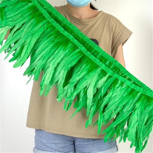 Federbordüre mit langem Schwanz, 25–30 cm, zum Nähen, für modische Bekleidung und Bastelarbeiten, Dekoration Federbordüre mit langem Schwanz, 25–30 cm, zum Nähen, für modische Bekleidung und Bastelarbeiten, Dekoration von Generisch