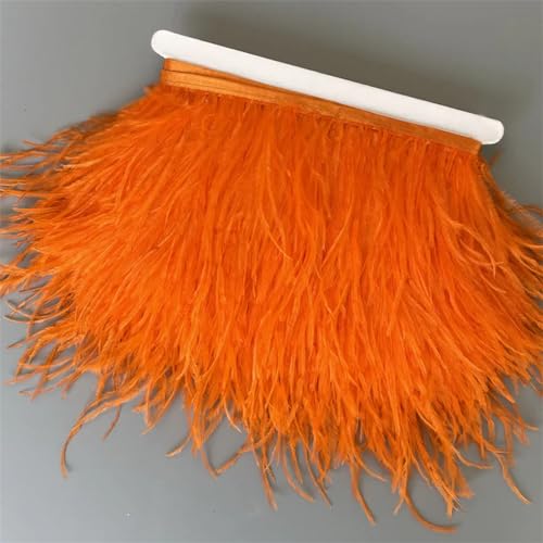 Federborte, 10 m, 13–18 cm, Federband, DIY, Hochzeitskleid, Dekoration, Basteln, Zubehör, Orange, 10 Meter Federborte, 10 m, 13–18 cm, Federband, DIY, Hochzeitskleid, Dekoration, Basteln, Zubehör, Orange, 10 Meter von Generisch